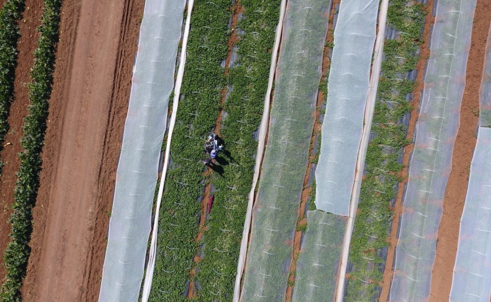 GreenWaterDrone: Παρουσιάστηκε το παγκοσμίως καινοτόμο έργο άρδευσης καλλιεργειών