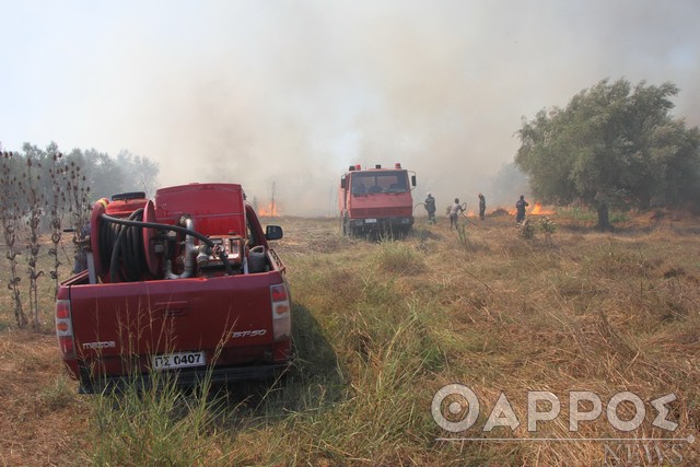 Φωτιά στο Μουζάκι Τριφυλίας