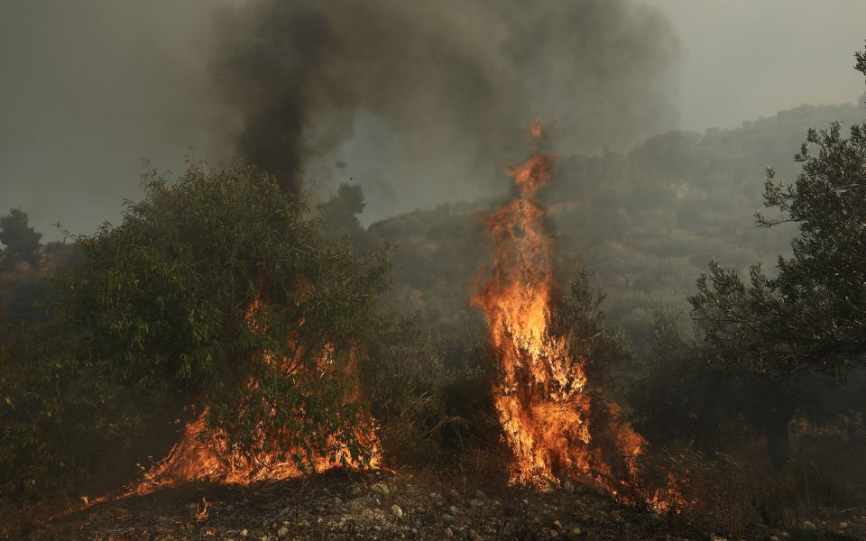 Στην κατηγορία κινδύνου 4 για πυρκαγιά και σήμερα η Μεσσηνία