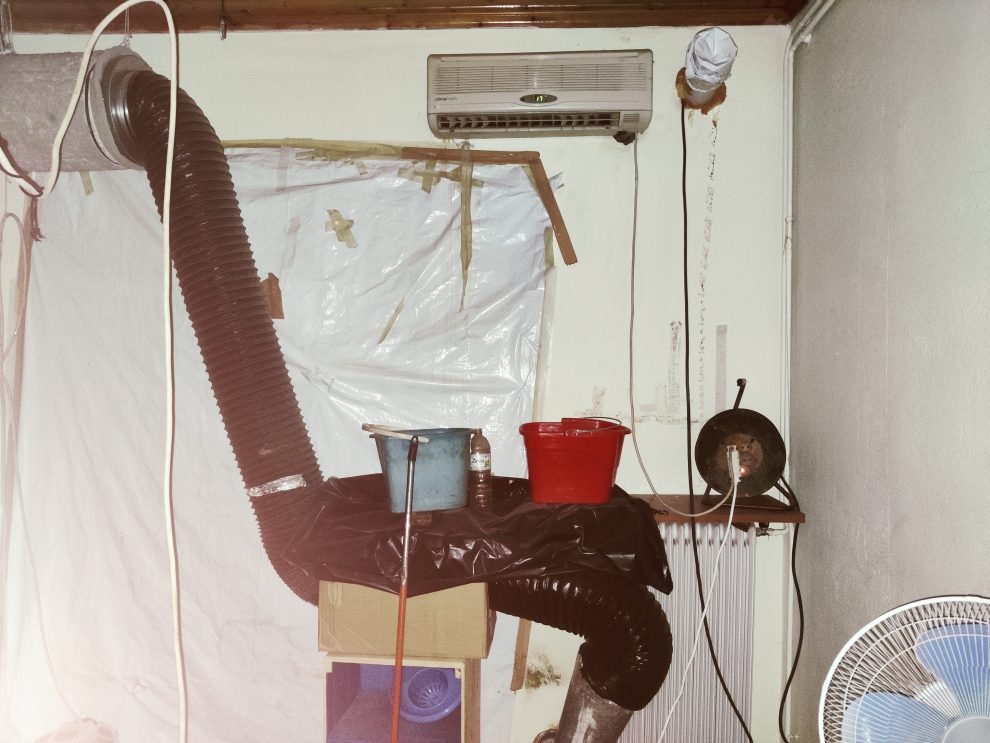Κορινθία: 52χρονος είχε στήσει χασισοφυτεία μέσα σε υπνοδωμάτιο