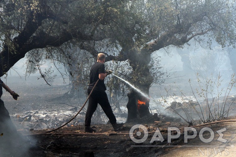 Υψηλός κίνδυνος πυρκαγιάς σήμερα στη Μεσσηνία