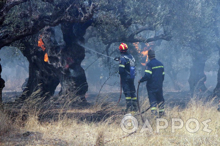 Παρατείνεται η έκτακτη ανάγκη για περιοχές του Δήμου Οιχαλίας που κάηκαν