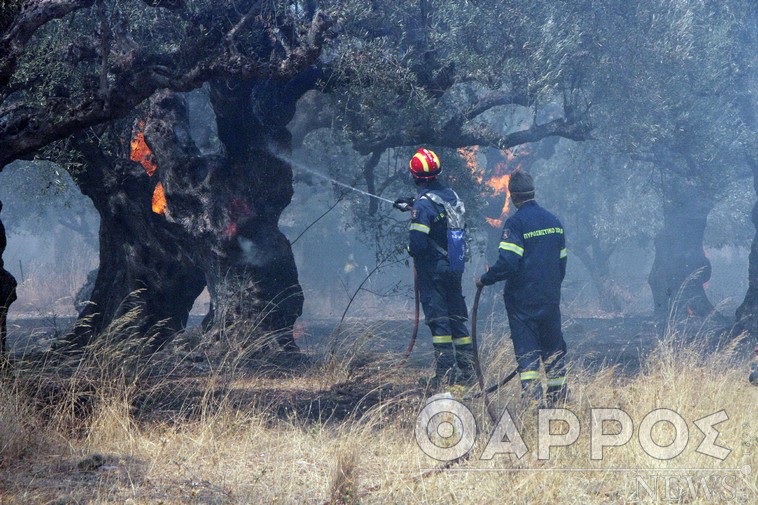 Μεσσηνία: Έγιναν οι προσλήψεις 19  πυροσβεστών εποχικής απασχόλησης