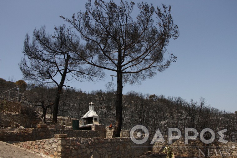 Μεσσηνία: Σύλληψη 71χρονου για εμπρησμό