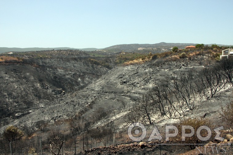 Διανομή ζωοτροφών στις πυρόπληκτες περιοχές