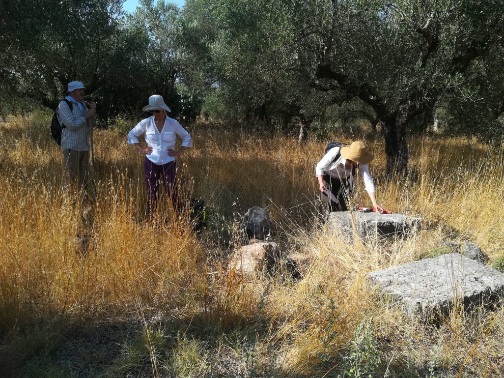 Μια συναρπαστική αρχαιολογική περιπέτεια μόλις ξεκίνησε στην Άνω Μεσσηνία…