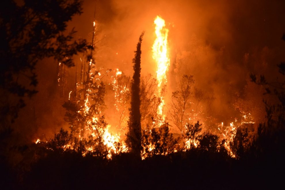 Ο Δήμος Καλαμάτας για τη μεγάλη πυρκαγιά στην Άνθεια
