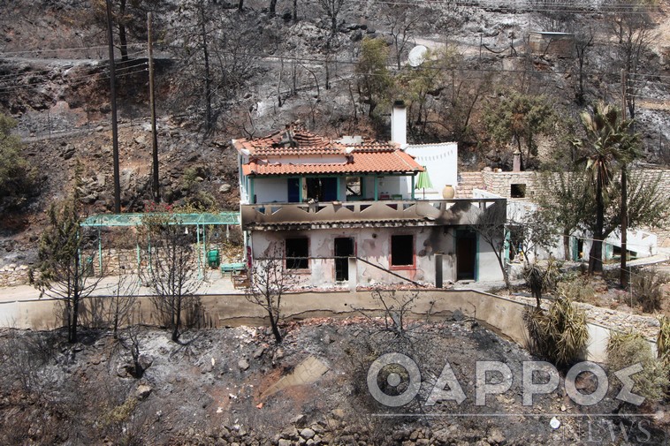 Υποστήριξη σε πυρόπληκτους αγρότες μέσω της γραμμής 1540