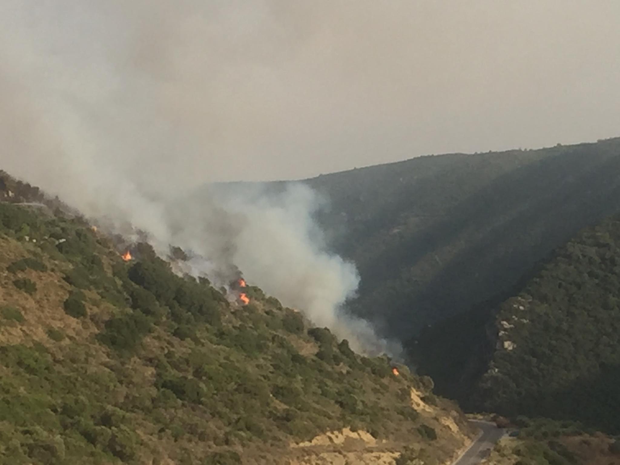 Σε ύφεση η φωτιά στο Βασιλίτσι