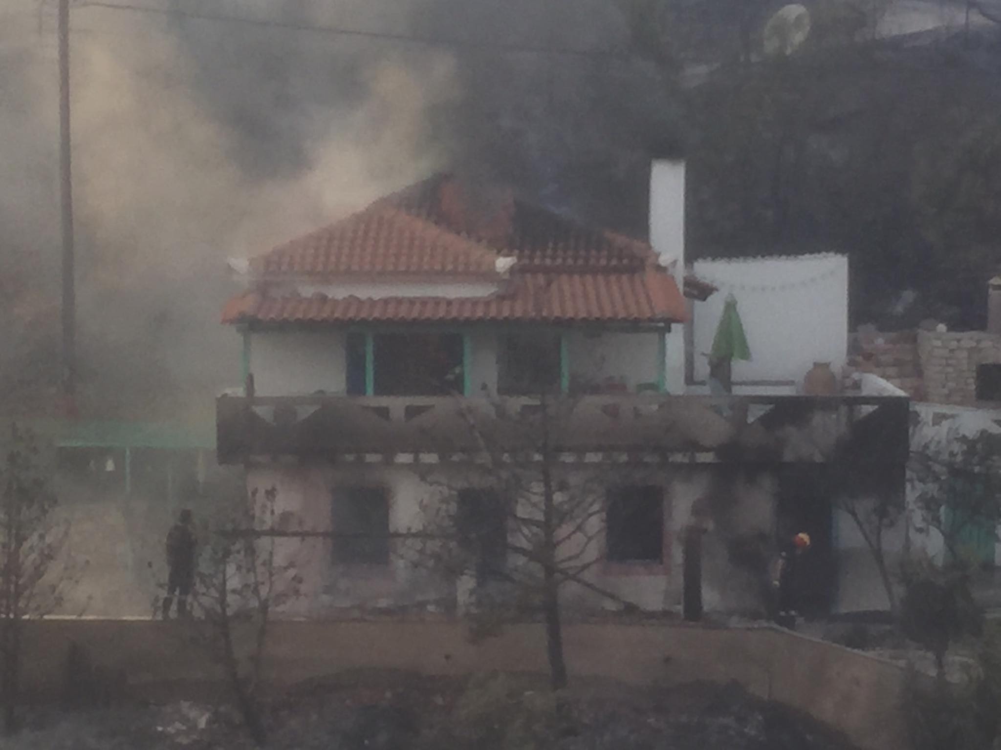 Μαύρη Τρίτη για τη Μεσσηνία -Τεράστιες εκτάσεις παραδόθηκαν στις φλόγες