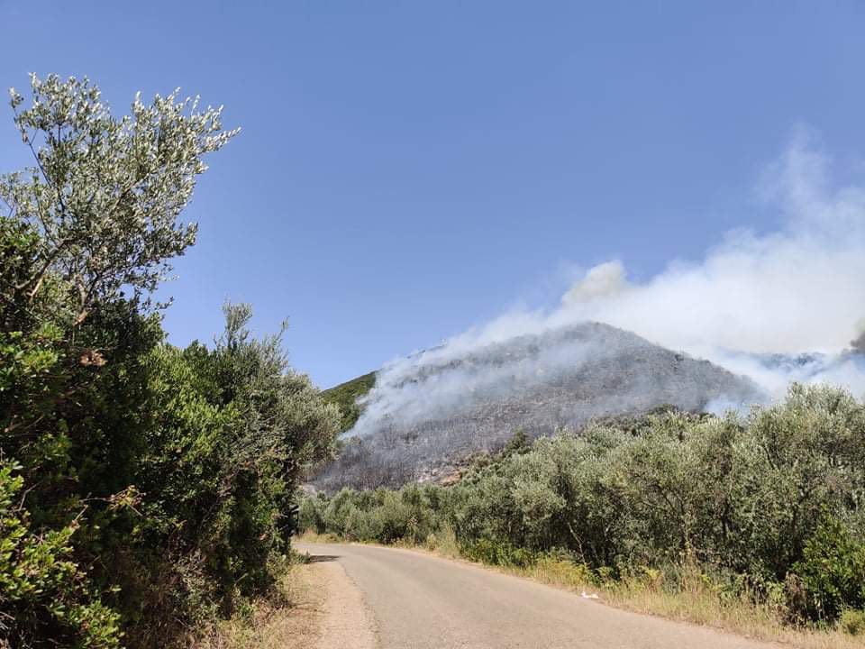 Μεσσηνία: Πυρκαγιά και στο Μαγκλαβά