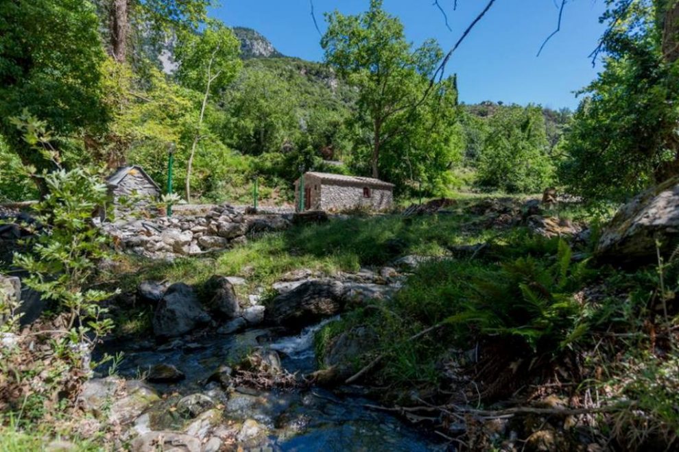 Παράταση και στη Μεσσηνία της απαγόρευσης μετακίνησης, διέλευσης, παραμονής σε δάση