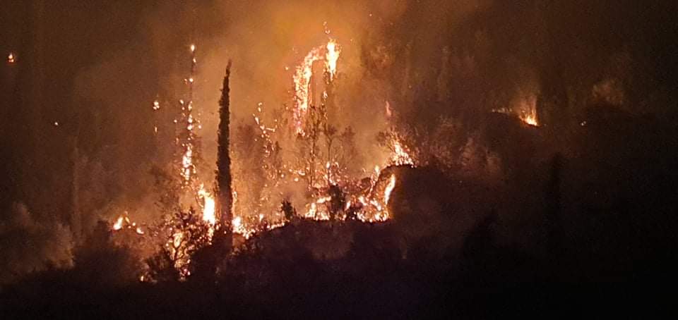 Μεγάλη φωτιά και  στην Άνθεια Μεσσηνίας, λίγο έξω από την Καλαμάτα&#8230; (pics-video)