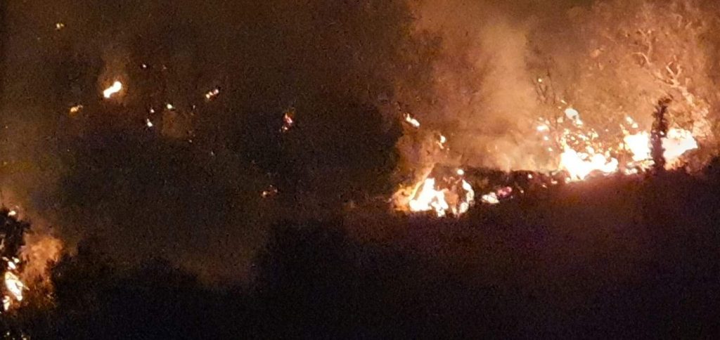 Μεγάλη φωτιά και  στην Άνθεια Μεσσηνίας, λίγο έξω από την Καλαμάτα&#8230; (pics-video)