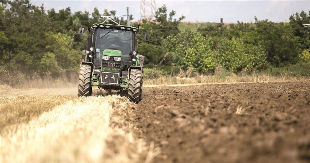 Η ξηρασία που… τελειώνει την ελαιοπαραγωγή, φθείρει τώρα και το φυτικό κεφάλαιο