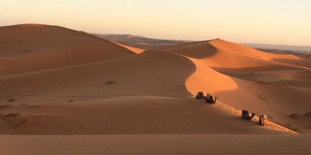 «Αν βάλεις την ομοσπονδιακή κυβέρνηση υπεύθυνη για την έρημο Σαχάρα, σε πέντε χρόνια θα υπάρχει έλλειψη άμμου»