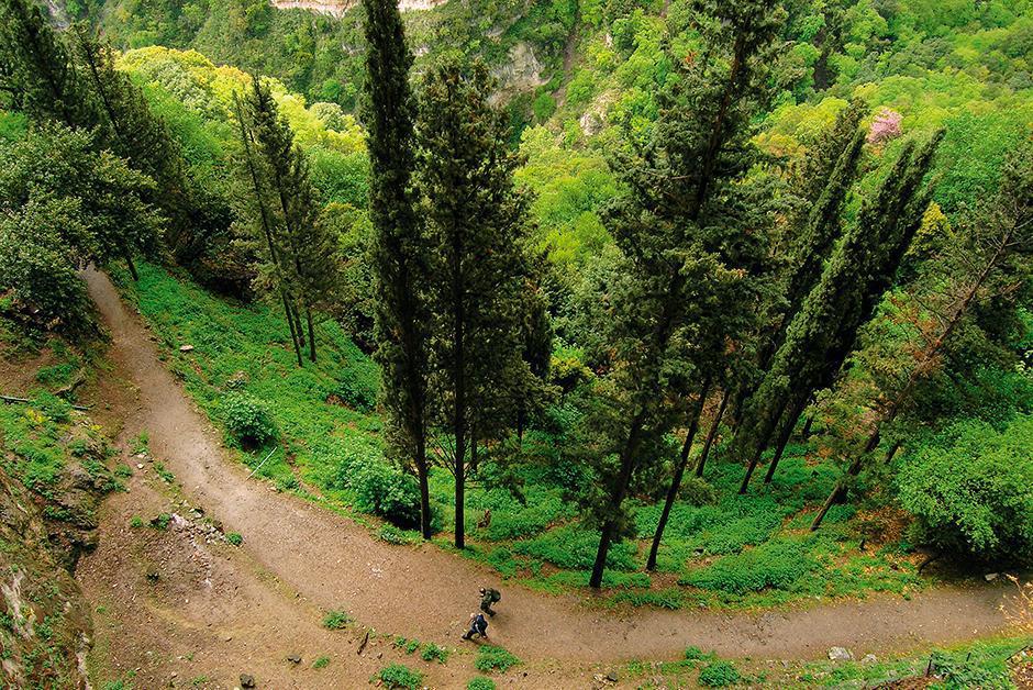 Στο φθινοπωρινό Μαίναλο πεζοπορεί ο Ορειβατικός Σύλλογος Καλαμάτας