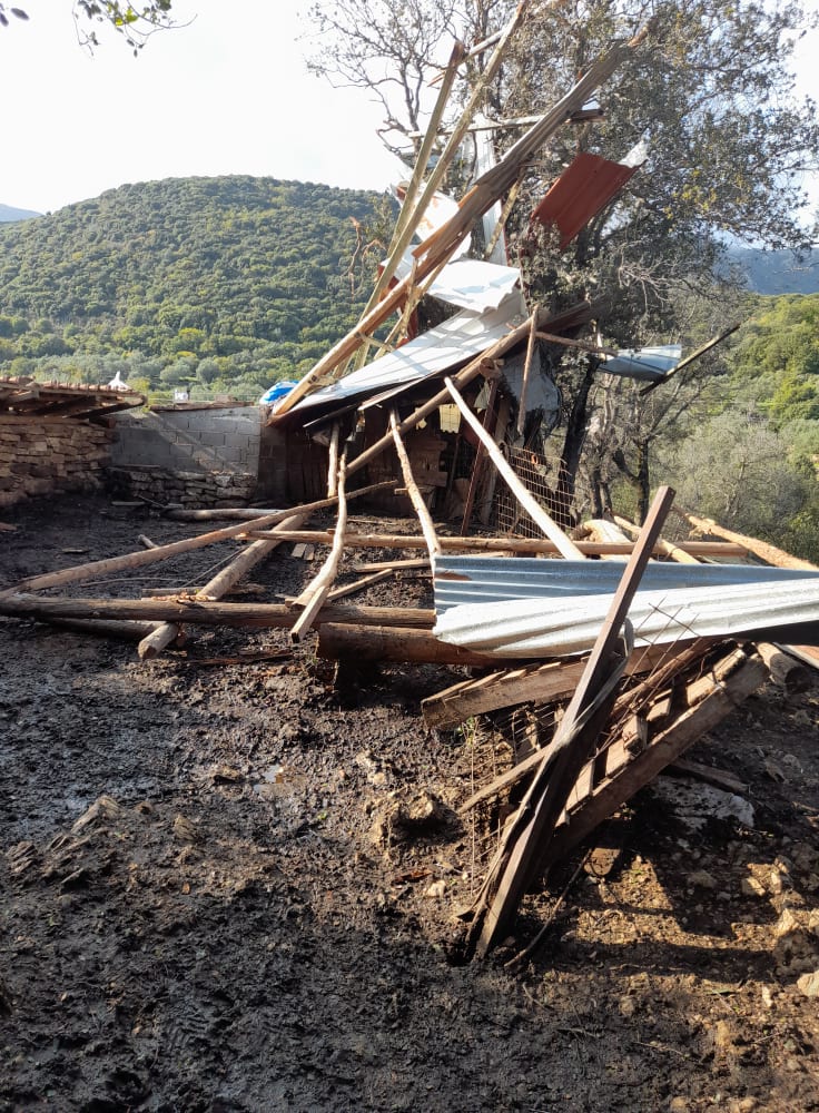 Ραφτόπουλο: Ολοκληρωτική καταστροφή  σε κτηνοτροφική μονάδα