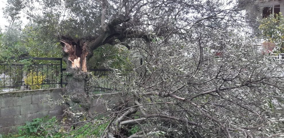 Ζημιές από ακραία καιρικά  φαινόμενα στη Μεσσηνία