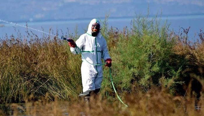 Ενημέρωση σχετικά με το διαγωνισμό κωνωποκτονίας ζητά η Αντωνία Μπούζα