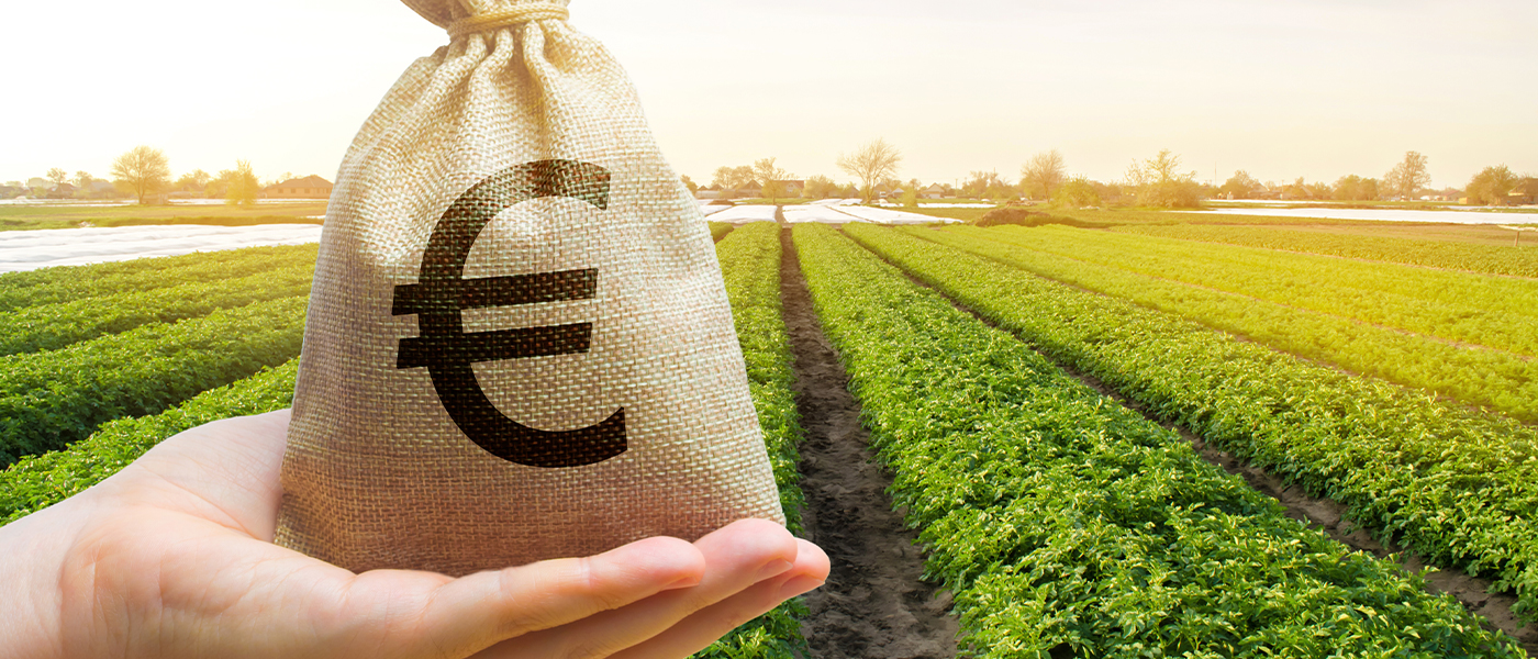 ΟΣΔΕ: Περικοπές και στη Μεσσηνία ύψους έως 35%