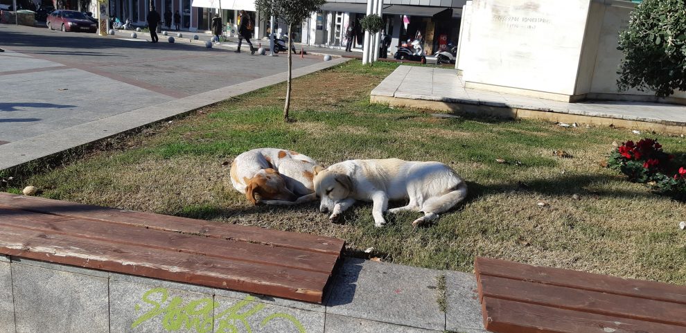 Ζηλευτοί τεμπέληδες…