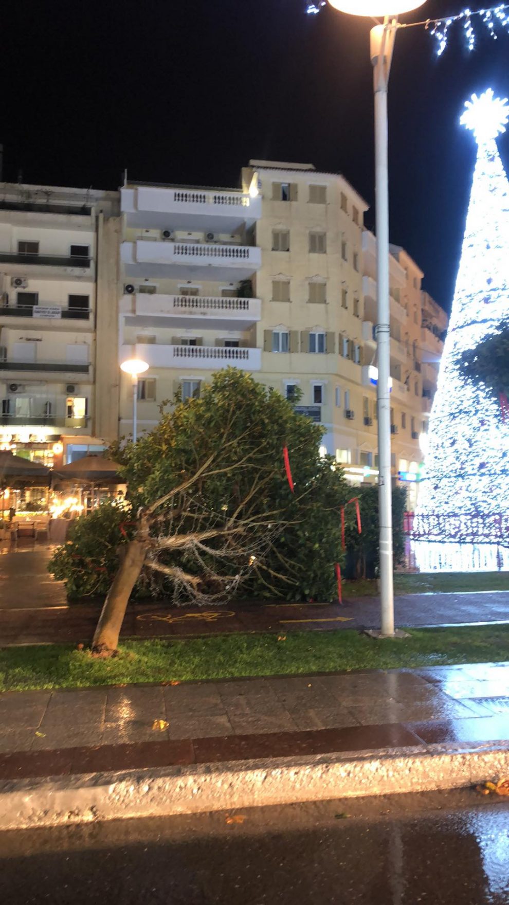 Πτώση δέντρου στην κεντρική πλατεία της Καλαμάτας