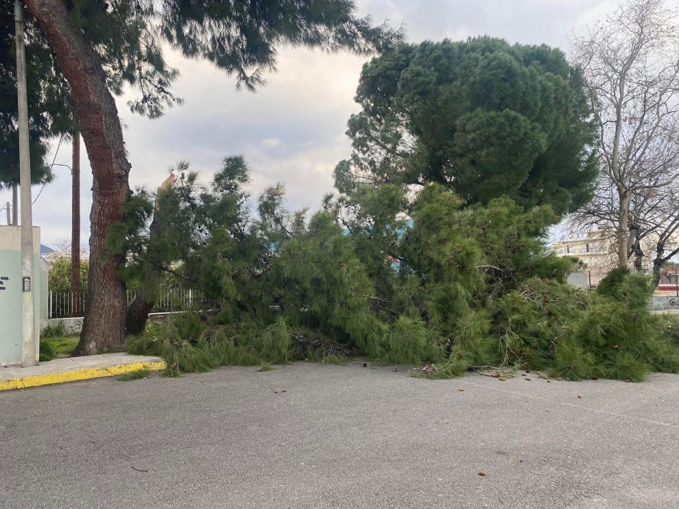 Ελπίδα: Ισχυροί άνεμοι αλλά μικρές ζημιές στη Μεσσηνία