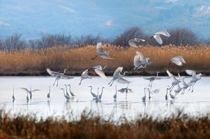 Διαβούλευση για τις περιοχές  Natura 2000 Μεσσηνίας και Λακωνίας