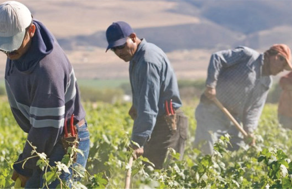 Εργάτες γης: Νέες διορθωτικές  ρυθμίσεις – Τι ισχύει