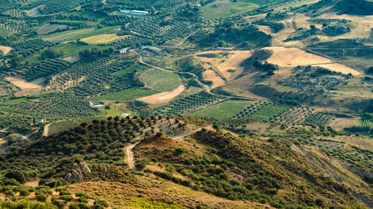 Η λύση των προβλημάτων  που δημιουργούν οι δασικοί χάρτες