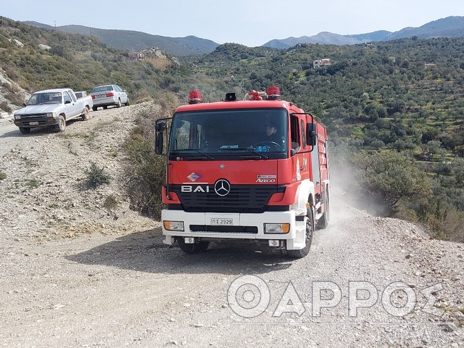 Yψηλός κίνδυνος πυρκαγιάς σήμερα στη Μεσσηνία