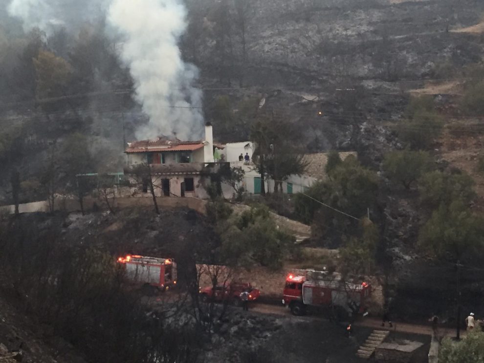 “Χρυσό μετάλλιο” η Πελοπόννησος πριν καν αρχίσει η αντιπυρική περίοδος