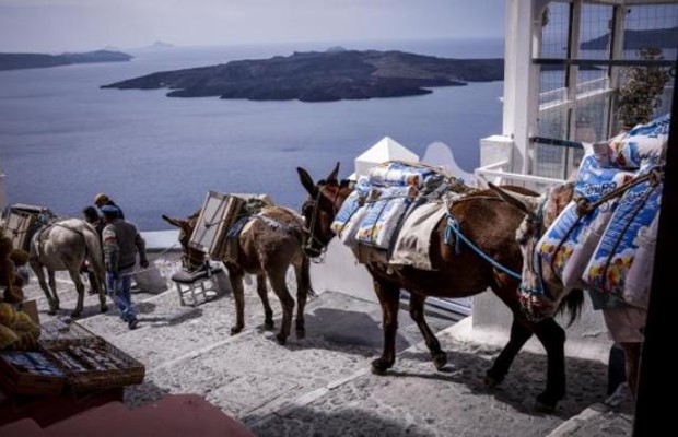 «Ένα μουλάρι θα σου δουλέψει για δέκα χρόνια πρόθυμα και υπομονετικά, για να έχει το προνόμιο να σε κλωτσήσει μία φορά»