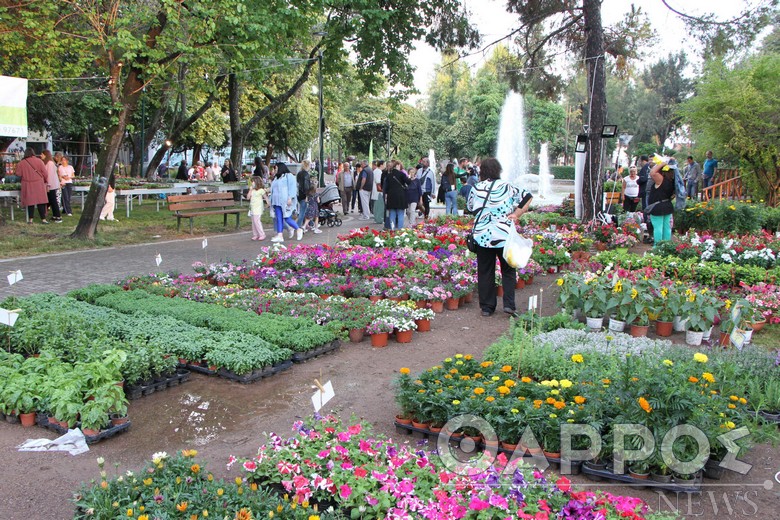 Κανονικά η Ανθοκομική Έκθεση στην Καλαμάτα