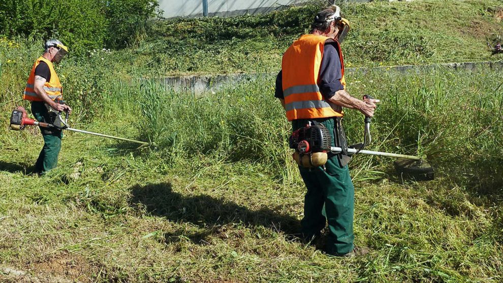 Δήμος Τριφυλίας: Καθαρισμός οικοπέδων αλλιώς πρόστιμα