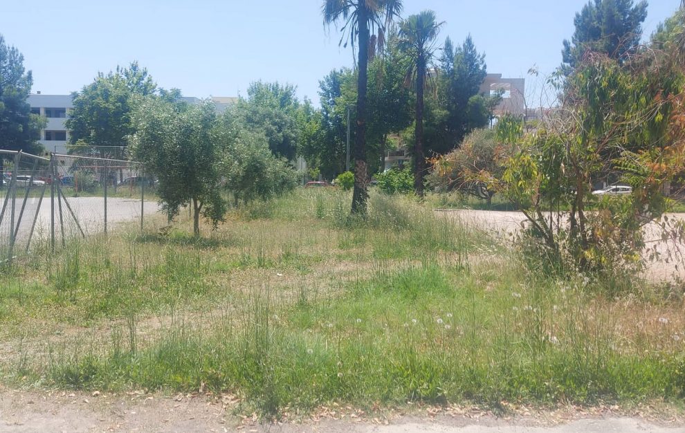 Θεριεύουν τα χορτάρια στην Καλαμάτα…