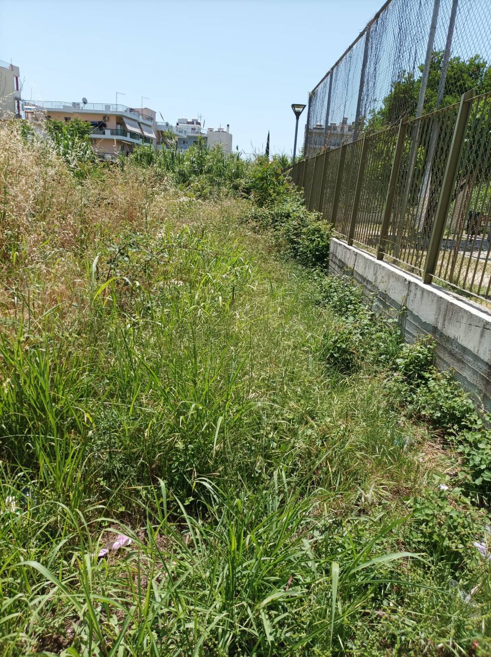 Άμεση ανάγκη να καθαριστεί η …ζούγκλα στο 8ο Δημοτικό Σχολείο Καλαμάτας