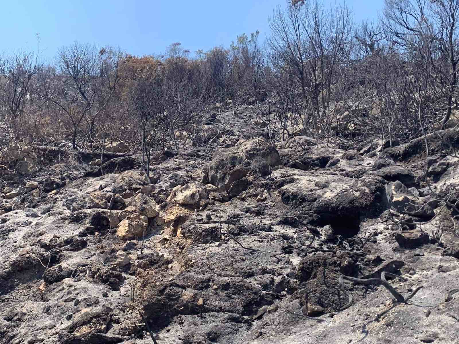 Χρυσοκελλαριά: Άρχισε η καταγραφή  των εκτάσεων καμένης γης