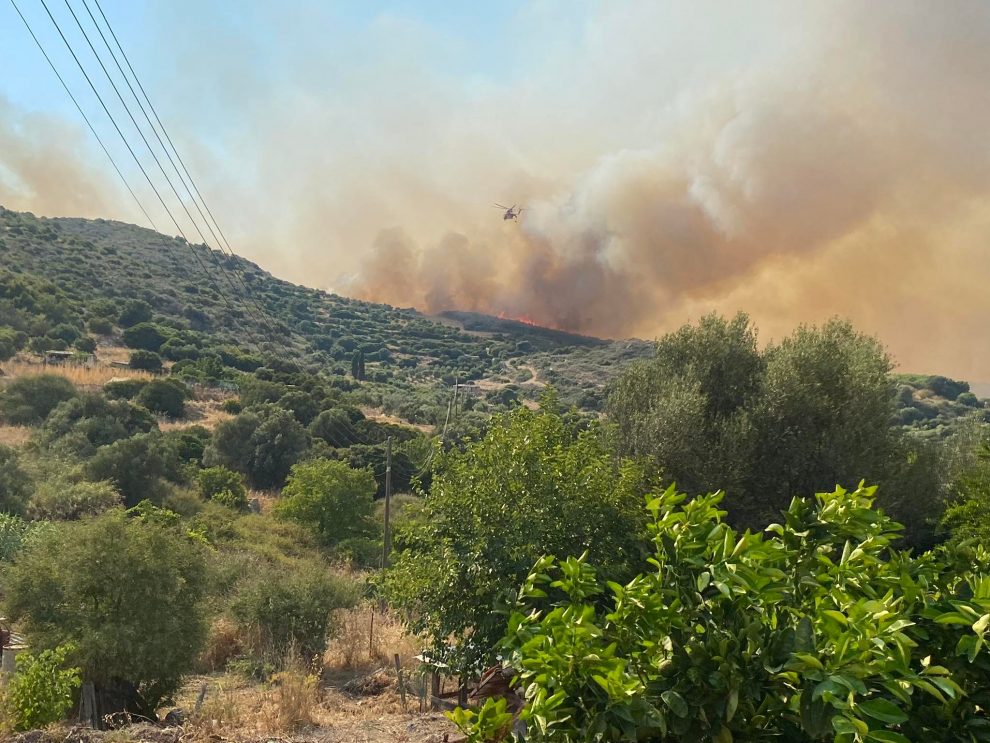 Χρυσοκελλαριά: Χωρίς ενεργά μέτωπα η πυρκαγιά