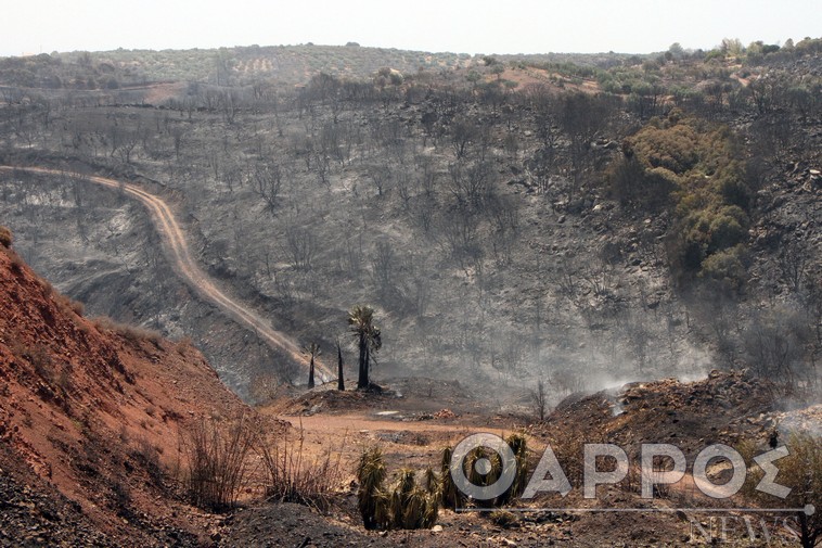 Μεσσηνία: Πίστωση 4.000.000 ευρώ για έργα σε δρόμους πυρόπληκτων περιοχών