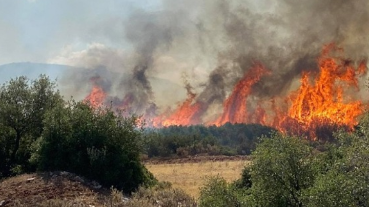 Μαίνεται η φωτιά στη Βένιζα Μεγάρων -Φωτιά και στη Σαλαμίνα