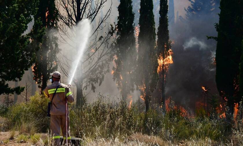 Μεσσηνία: Παραμένει υψηλός  ο κίνδυνος πυρκαγιάς και σήμερα