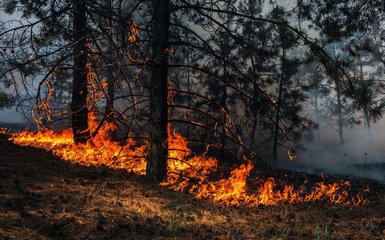 Μεσσηνία: Πολύ υψηλός κίνδυνος πυρκαγιάς σήμερα