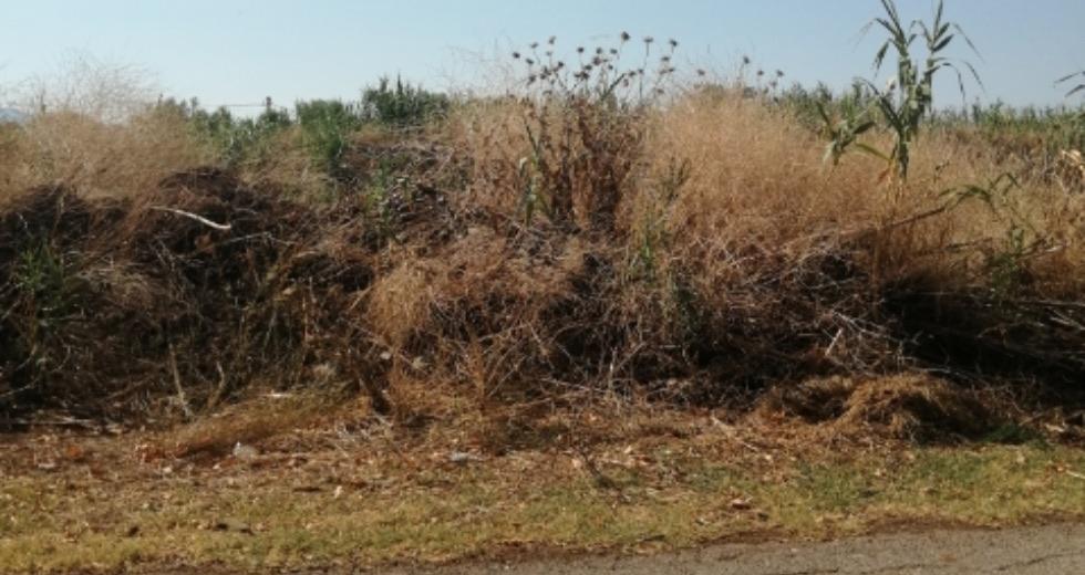 Κίνδυνος πυρκαγιάς από ξερόχορτα