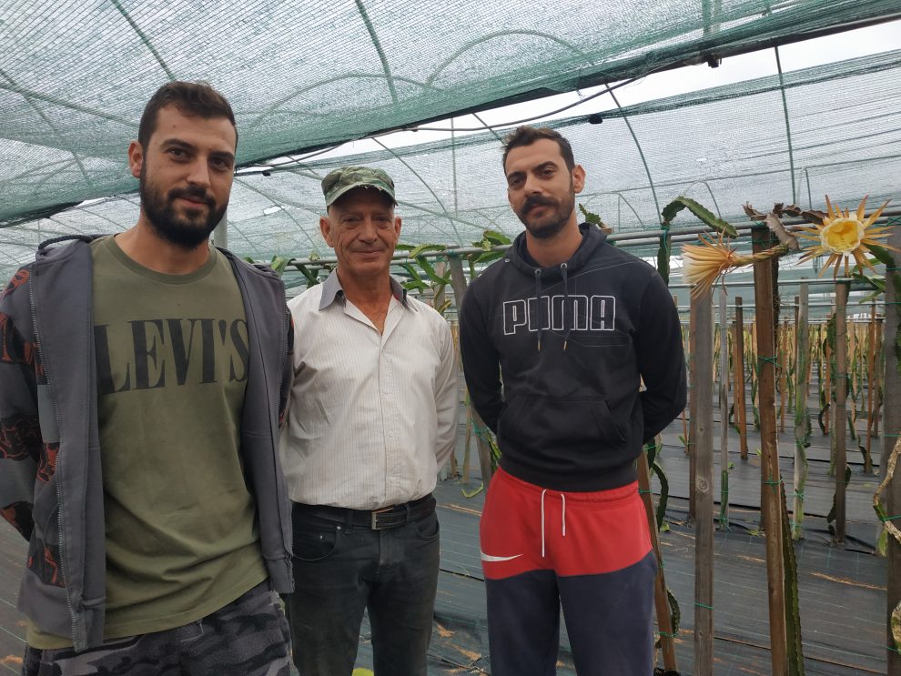 Αγρόκτημα Δούβα: Καλλιεργώντας «φρούτα του δράκου» στη Δυτική Παραλία…