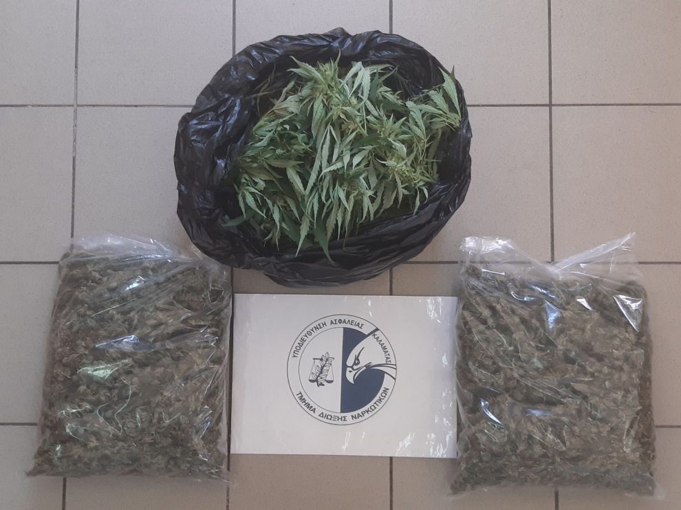 Φιλιατρά: Σούπερ χασισοαποδόσεις από 3 και μόνο δενδρύλλια