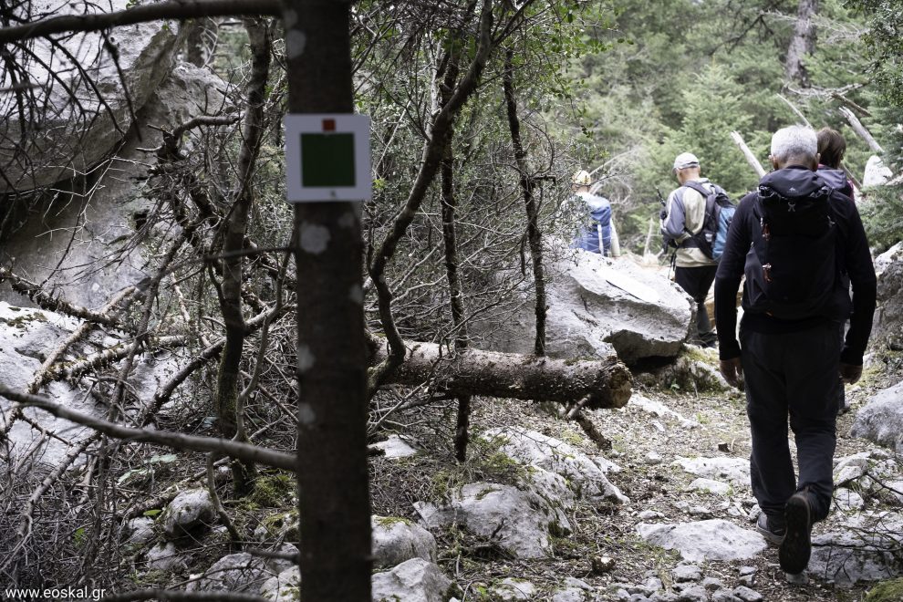 Καθαρισμός και σήμανση  μονοπατιού στο Καλάθι