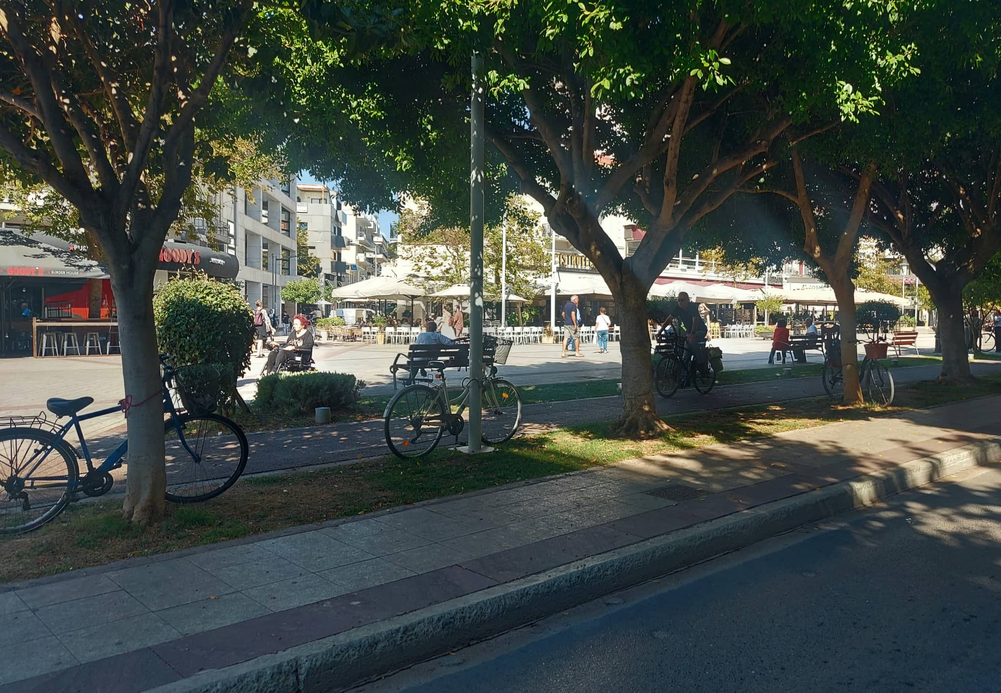 Ποδήλατα στα δέντρα και τις κολώνες της Καλαμάτας