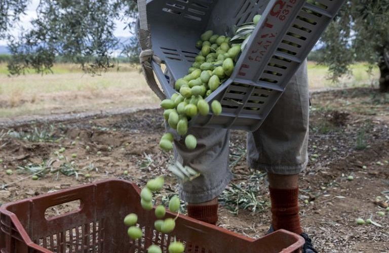 Εργάτες γης: Παρατείνεται  η κατά παρέκκλιση μετάκληση